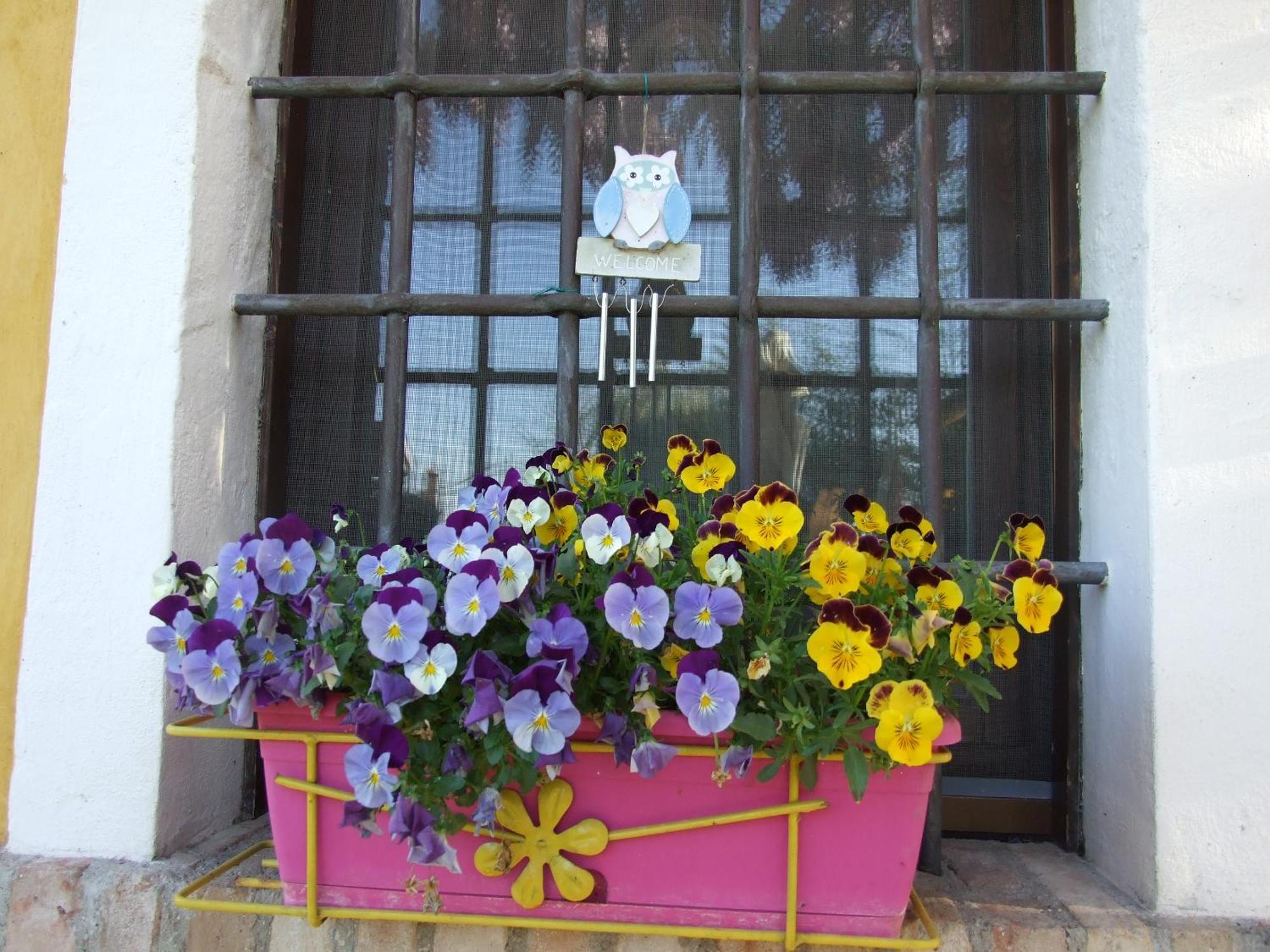 B&B Casacasina モンツァンバーノ エクステリア 写真