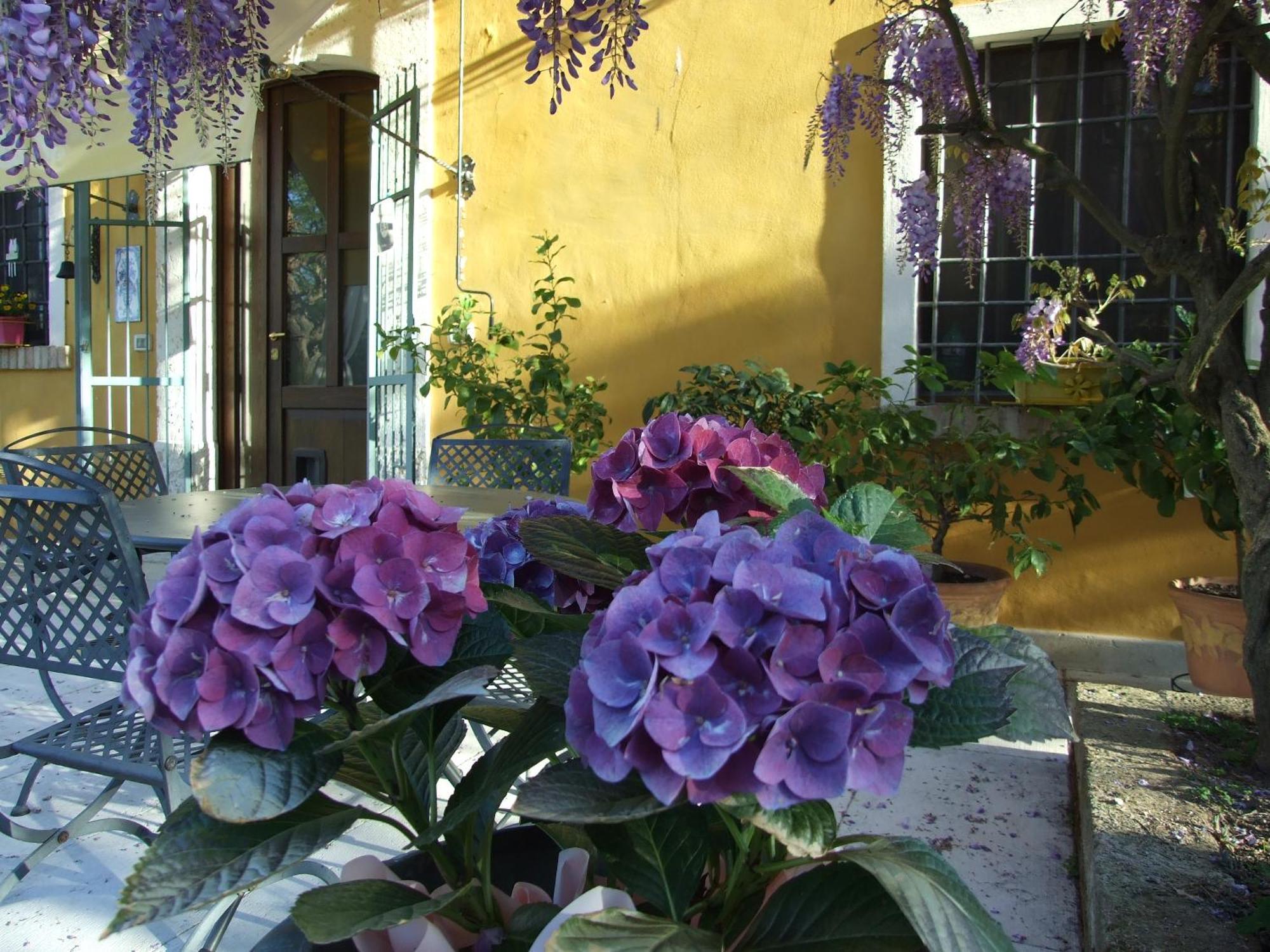 B&B Casacasina モンツァンバーノ エクステリア 写真